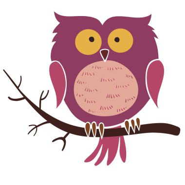 Beyaz arkaplanda baykuş