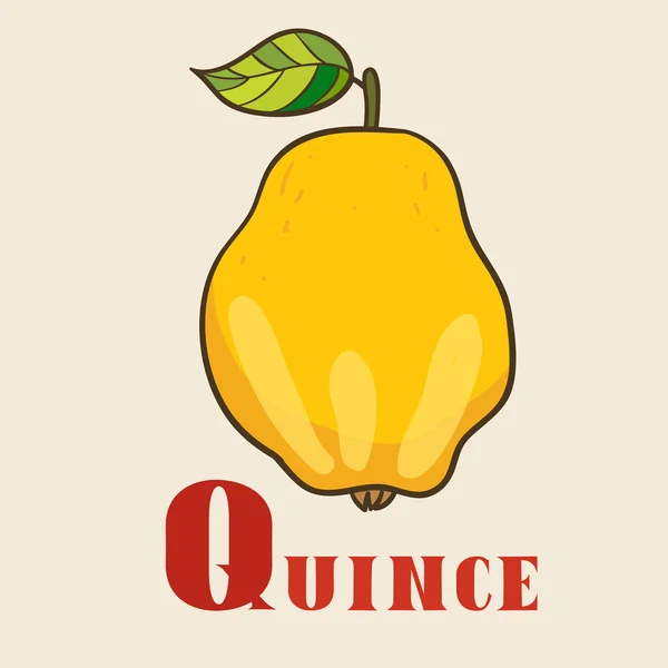 Q 为木瓜在手画样式 — 图库矢量图片