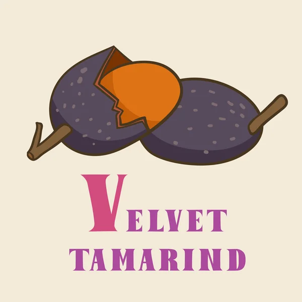 V para tamarindo de terciopelo — Vector de stock