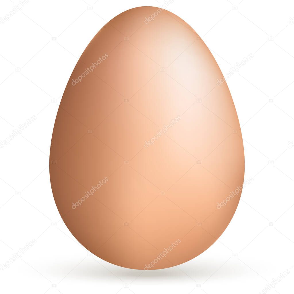 Vector realistic beige egg on white background on Easter and kitchen