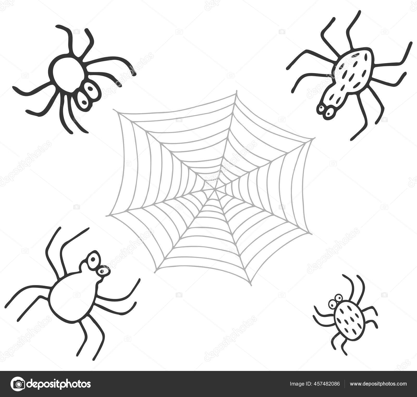白い背景にベクトル手描きのクモとクモの巣 落書きイラスト ストックベクター C Alexandra1984