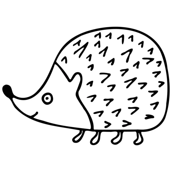 Hedgehog Isolado Fundo Branco Vetor Desenhado Mão Doodle Ilustração Para —  Vetores de Stock