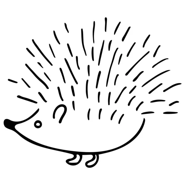 Hedgehog isolated on white background. Vector hand-drawn doodle illustration. — Stock Vector
