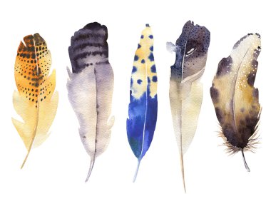 Elle çizilmiş suluboya tüy küme. Boho tarzı. şekil isol