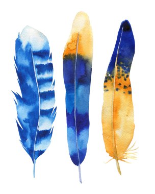 Elle çizilmiş suluboya tüy küme. Boho tarzı. şekil isol