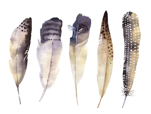 Hand drawn watercolor feather set. Boho style. illustration isol — Stock Photo, Image