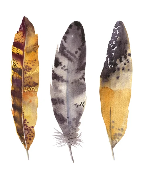 Ensemble de plumes d'aquarelle dessinées à la main. Le style Boho. illustration isol — Photo