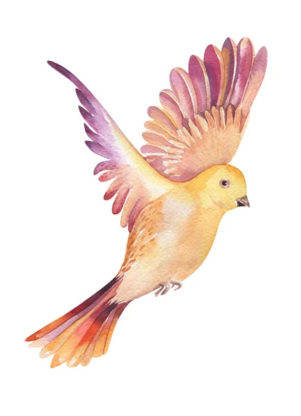 Ilustración en acuarela de un pájaro amarillo volando, aislado en blanco — Foto de Stock