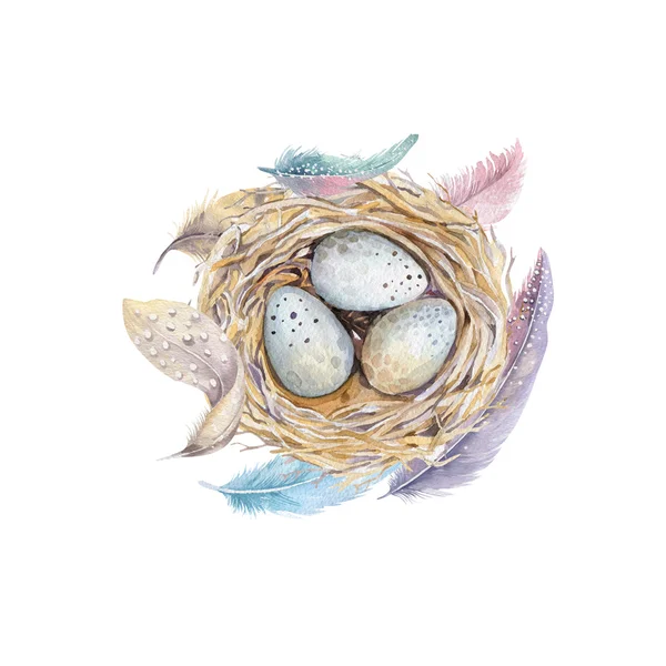 Hand getekende aquarel kunst vogel nest met eieren, Pasen ontwerp. — Stockfoto