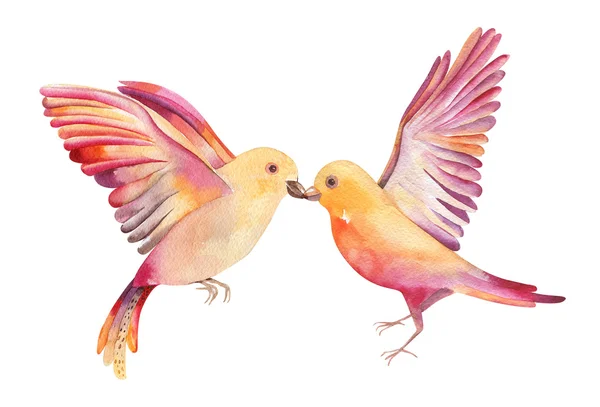 Akvarel obrázku žlutého ptáka létání, izolované na bílém — Stock fotografie