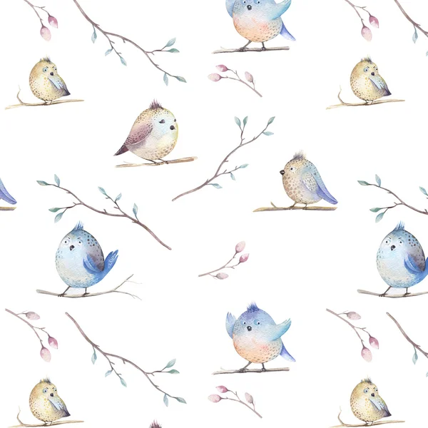 Akvarel na jaře rustikální vzorek s hnízdo, ptáci, větve, strom — Stock fotografie