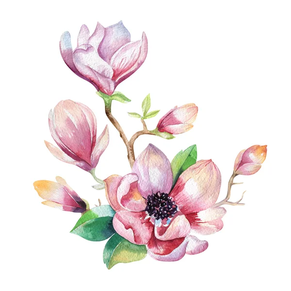 Pintura papel de parede flor Magnolia. Mão desenhada aquarela floral — Fotografia de Stock