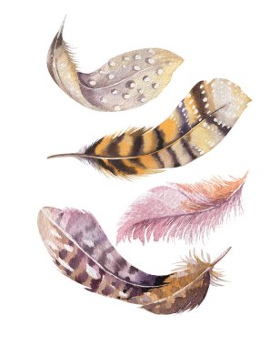 El suluboya resimler canlı geçiş yumuşatma set çekilmiş. Boho stili 