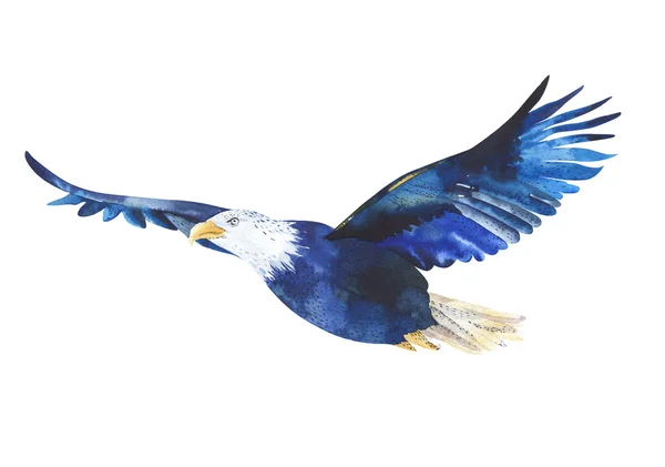 Watercolor isolated  illustration of a bird eagle in white backg — Zdjęcie stockowe