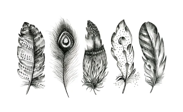Set of hand drawn feathers on white background. Boho decoration — Stok fotoğraf