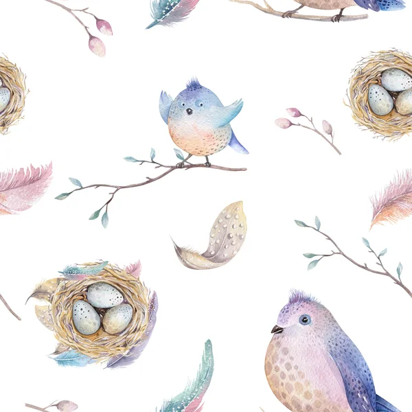 Akvarell våren rustika mönster med nest, fåglar, gren, träd — Stockfoto