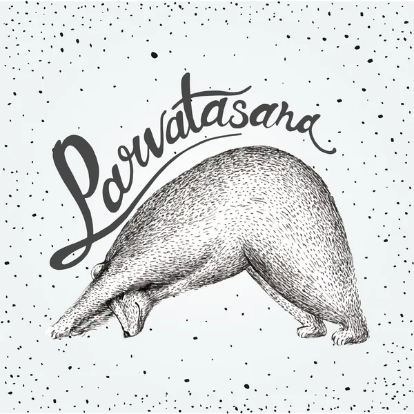 Illustration vectorielle du plaisir un ours isolé sur fond vintage. Imprimer posture matin pratique pranayama asana pose yoga Eps 10. Parvatasana — Image vectorielle