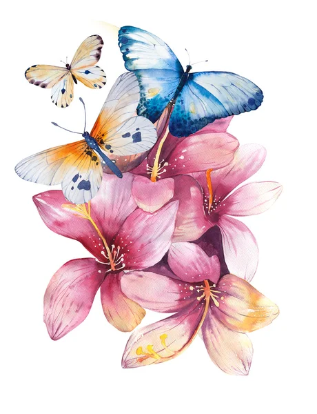 Rose disegnate a mano, farfalle — Foto Stock