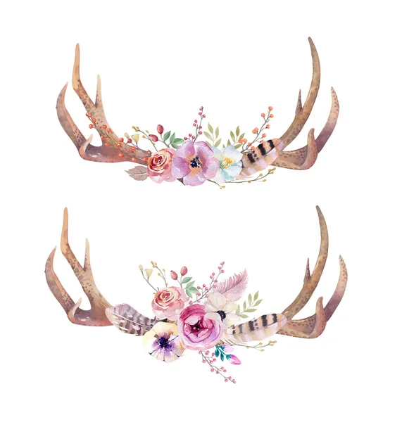 Bohemian deer horns set — Stock Photo, Image