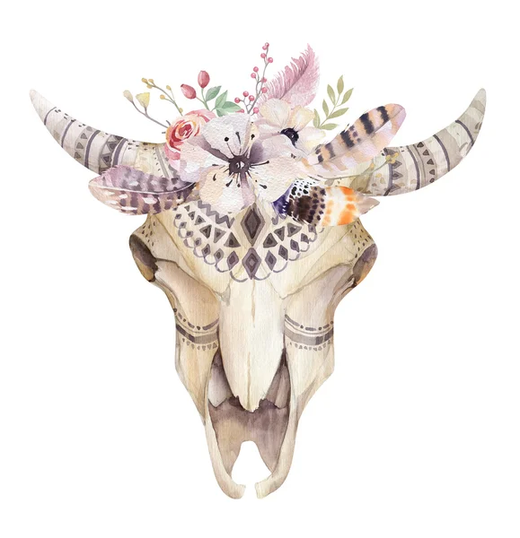 Akvarel kráva lebka — Stock fotografie