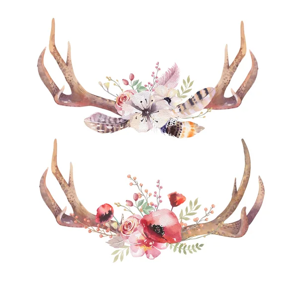 Bohemian deer horns set — Stock Photo, Image