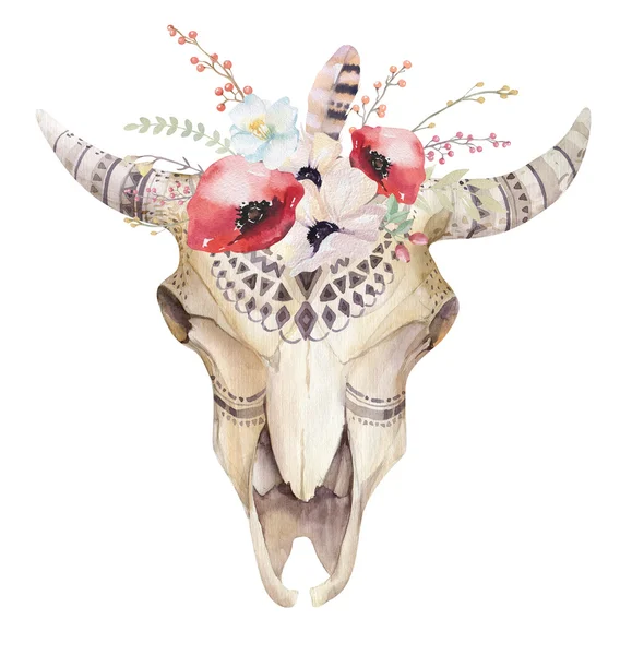 suluboya inek kafatası