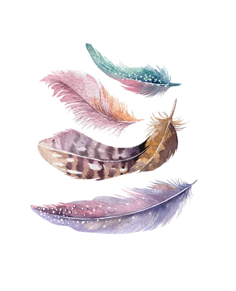 Watercolor feathers set. — Stock Photo, Image