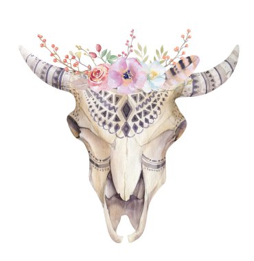 Suluboya bohem inek kafatası. Batı memeliler. Suluboya kalça