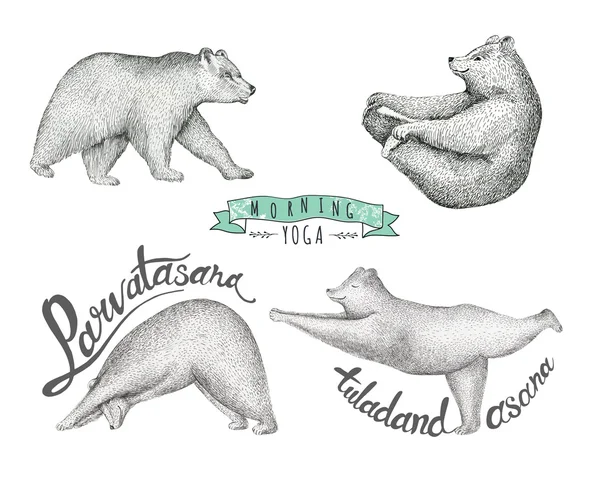 Set of Hand drawn illustration. fun a bear isolated — Stock Photo, Image