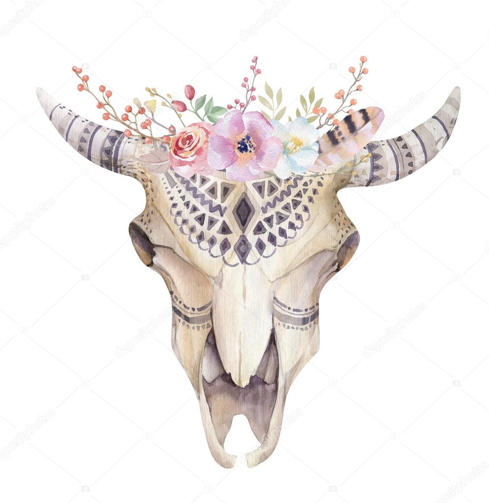 Watercolor bohemian cow skull.  Western mammals. Watercolour hipster boho decoration print antlers. flowers, feathers. Isolated on white background. Boho style.  Hand drawn ethnic themed design.