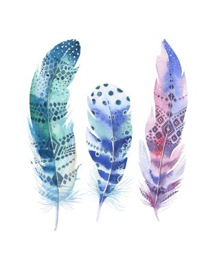 Suluboya tüyler seti