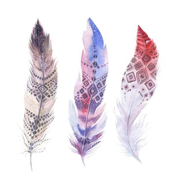 Suluboya tüyler seti