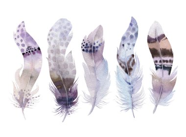 Suluboya tüyler seti