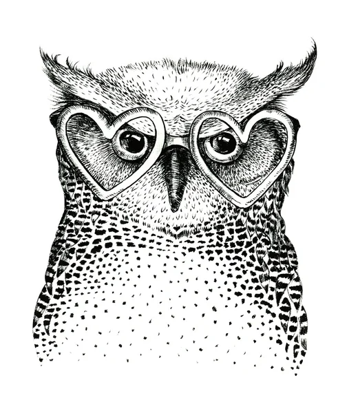 Black and white illustration of owl — Stock Photo, Image