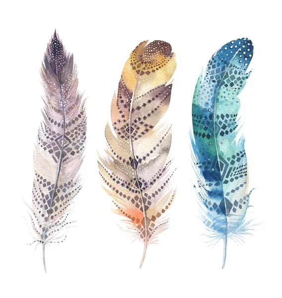 Set de plumes aquarelle — Photo