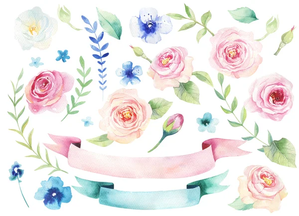 Akvarell virágok és levelek meg — Stock Fotó
