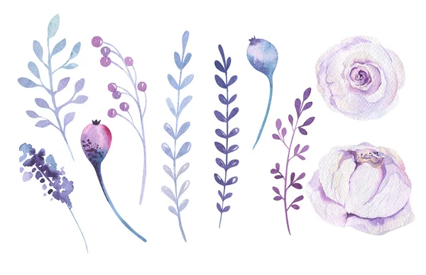 Watercolor boho flowers set — Stock Photo, Image