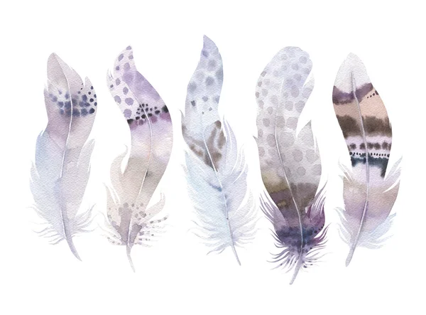 手描き水彩画の鮮やかな羽のセットです。自由奔放に生きるスタイル — ストック写真