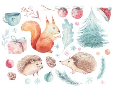 Christmas Woodland orman kirpisi seti, sevimli sincap hayvan karakteri. Kış Noel ağacı çiçek elementleri, buketler, böğürtlenler, çiçekler, kar ve kar tanesi