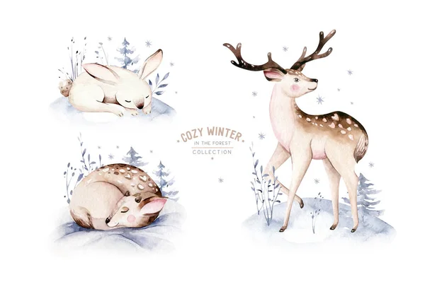 白い背景に孤立した鳥 ウサギ ファンを持つ水彩鹿 野生の森の動物セット 手描き冬イラスト — ストック写真