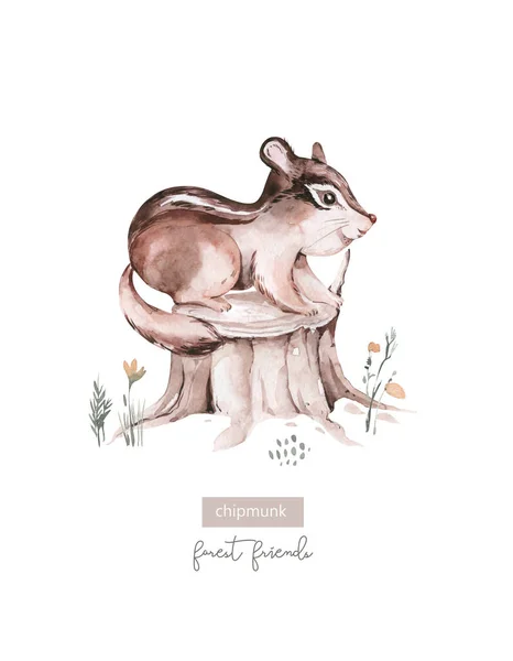 Woodland watercolor cute animals baby chipmunk. Scandinavian chipmunk on forest nursery poster design. Isolated character.