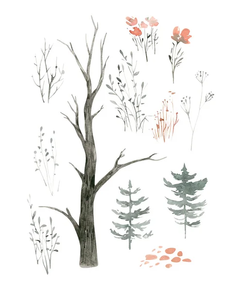 斯堪的纳维亚水彩画 绿树成荫 桦树松树 在白色背景上隔离的冬季古埃及系列 林地设计要素 — 图库照片