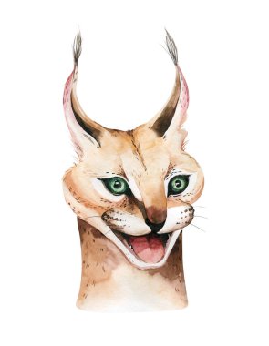 Caracal kedi çizgi filmi. Vaşak. Vaşak. Bir kedinin portresi