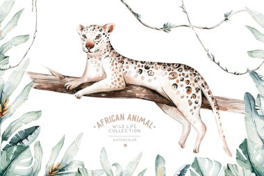 Suluboya bir gepard boyuyor. Beyaz arka planda izole edilmiş vahşi kedi. Afrika safari leopar hayvan çizimi.