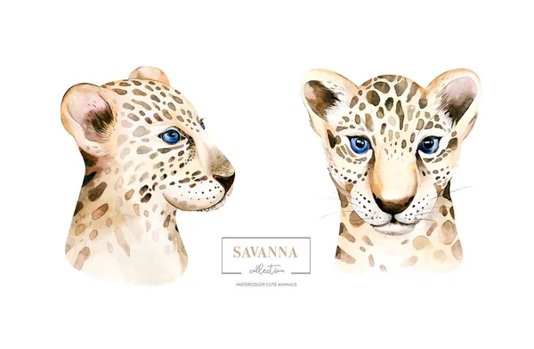 アフリカ水彩サバンナヒョウ 動物のイラスト アフリカサファリ野生の猫かわいいエキゾチックな動物の肖像文字に直面しています 白いポスターに隔離 招待状 結婚式のデザイン — ストック写真
