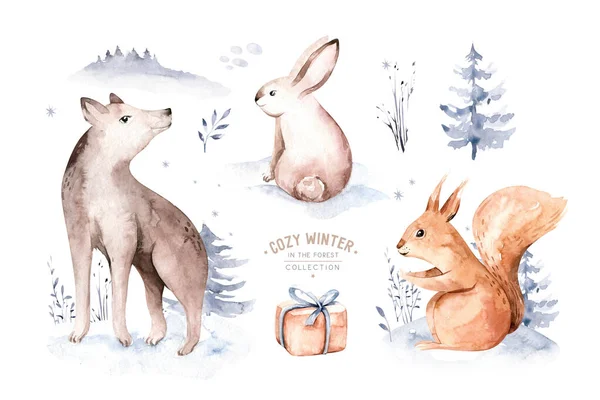 水彩鹿与小鹿 鸟类隔离在白色背景 野生森林动物集合体 手绘冬季插图 — 图库照片
