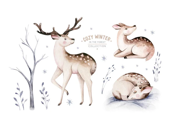 Watercolor Deer Fawn Rabbits Birds Isolated White Background Wild Forest — Stock Photo, Image