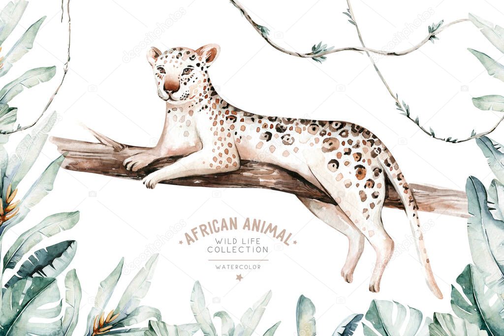 Watercolor painting a gepard . Wild cat isolated on white background. Africa safari leopard animal illustration.