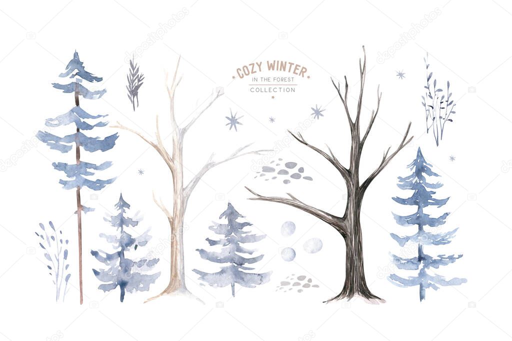 Watercolor deer with fawn, rabbits, birds isolated on white background. Wild forest animals set. Hand painted winter illustration.
