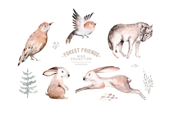 Állatok Bagoly Sündisznó Pillangó Nyuszi Akvarell Rajz Képeslapok Babaruhák Pólónyomatok — Stock Fotó